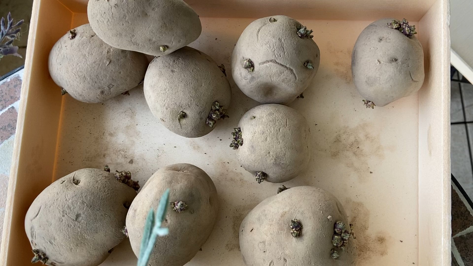 フレーム 19 03 2023 10 48